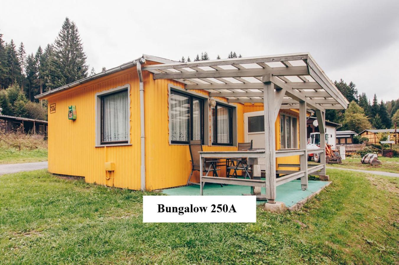 Ferienhaeuser & Bungalows - Naturcamp Meyersgrund Im Thueringer Wald Ilmenau Dış mekan fotoğraf